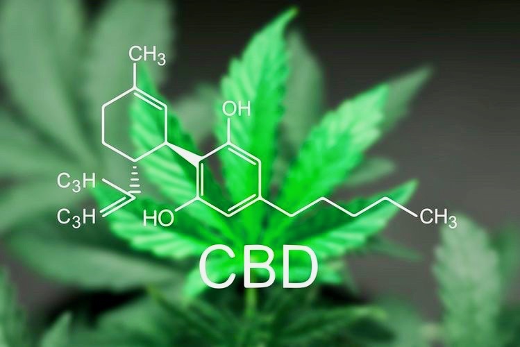 CBD Oil - A sheet of cannabis marijuana in the defocus with the image of the formula CBD